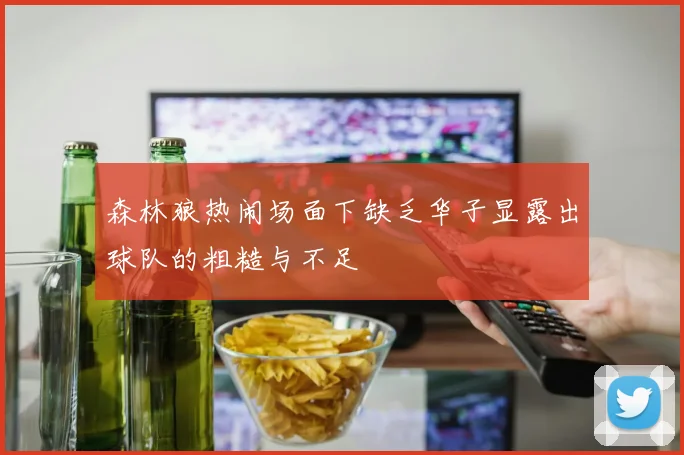 森林狼热闹场面下缺乏华子显露出球队的粗糙与不足