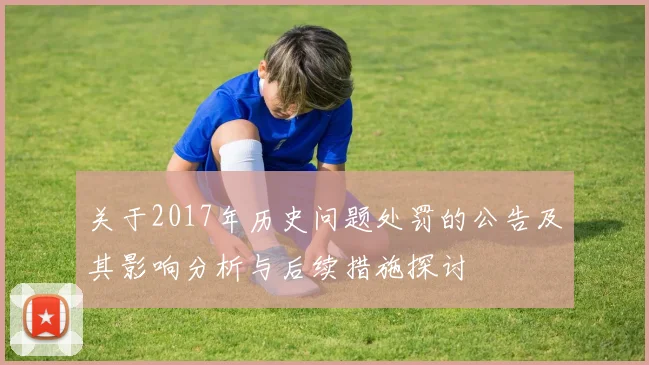 关于2017年历史问题处罚的公告及其影响分析与后续措施探讨