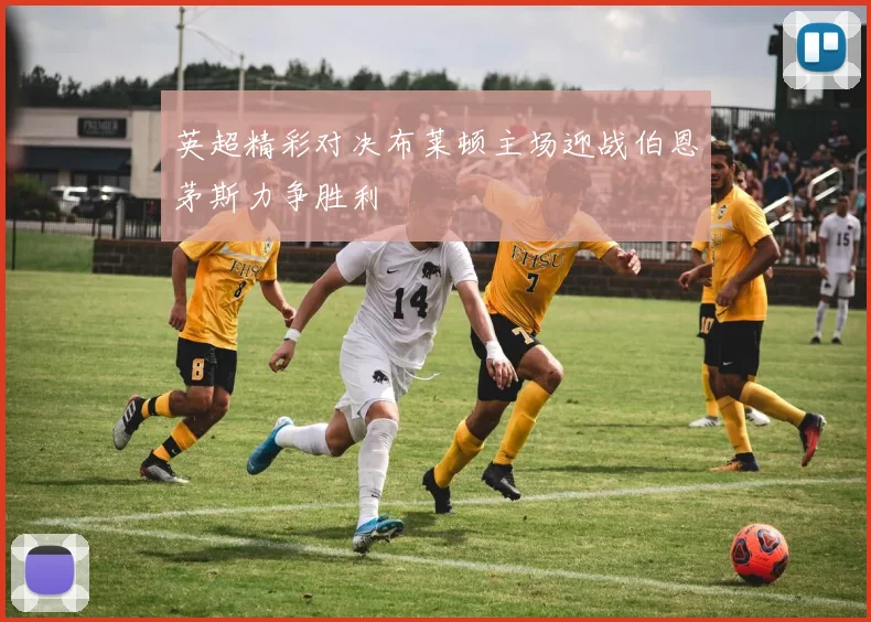 英超精彩对决布莱顿主场迎战伯恩茅斯力争胜利