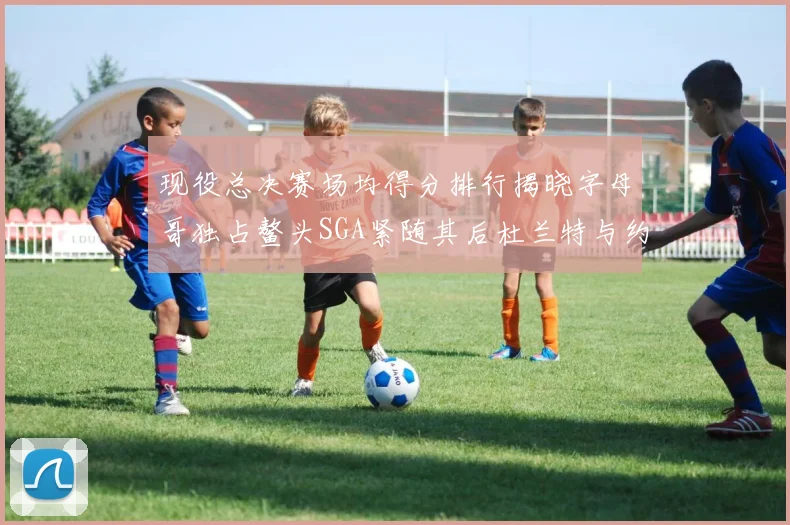 现役总决赛场均得分排行揭晓字母哥独占鳌头SGA紧随其后杜兰特与约基奇争夺第三
